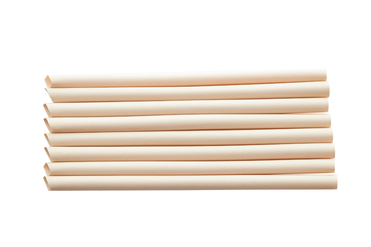 BAMBOO FIBER STRAW 0,2" X 8,6"  SHARP TIP