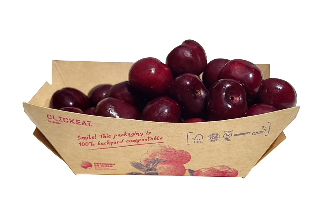 CHAURA CARDBOARD MINI TRAY (5,91