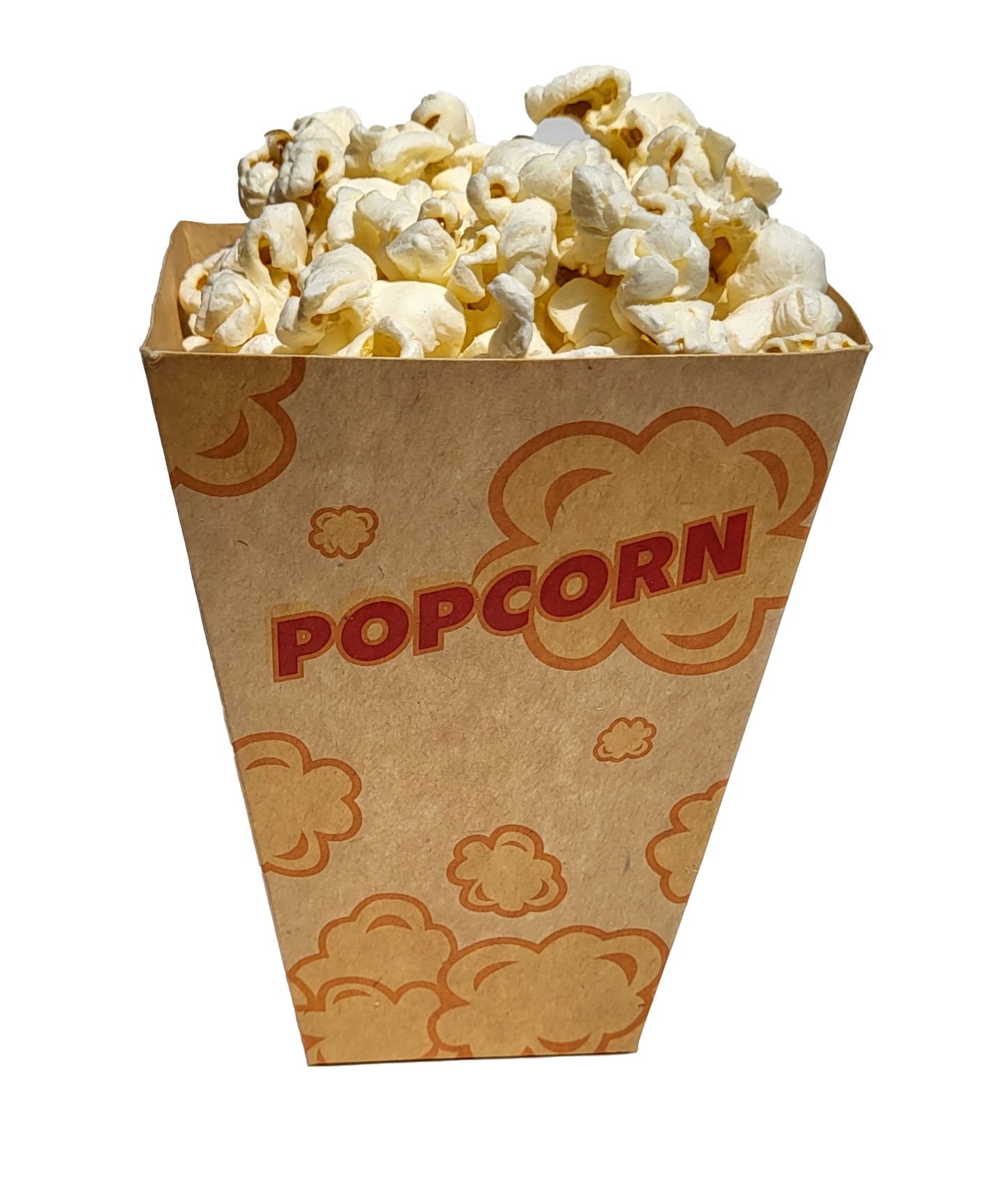 POPCORN BOXES (25 B2C)