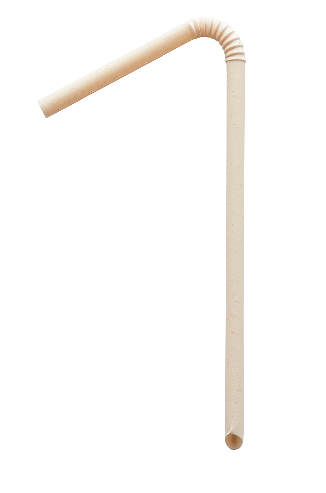 BAMBOO FIBER STRAW 0,2"X 8,6"