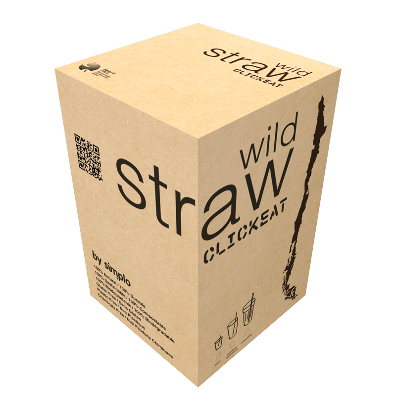 B2B WILD STRAW MINI 19 5.5"