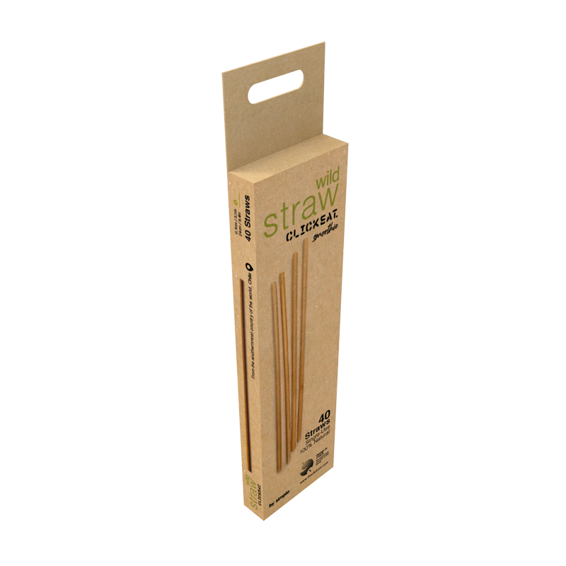 B2B2C WILD STRAW SMOOTHIE 9.4"