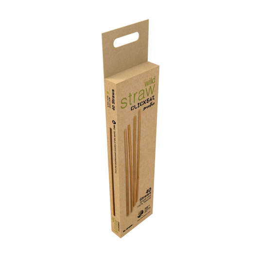 B2B2C WILD STRAW SMOOTHIE 9.4"