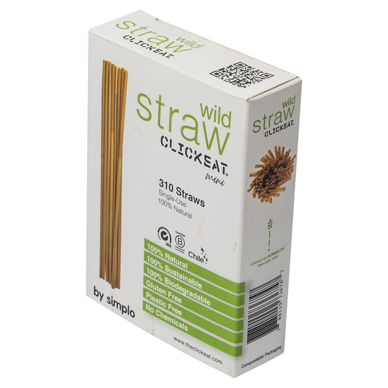 B2C WILD STRAW MINI 5.5" - 1 Pack