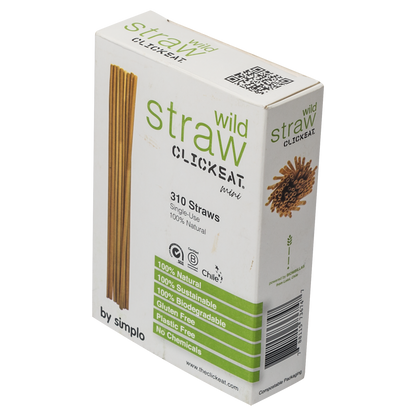 B2C WILD STRAW MINI 5.5" - 1 Pack