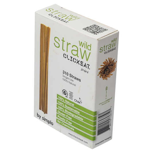 B2C WILD STRAW MINI 5.5" - 1 Pack